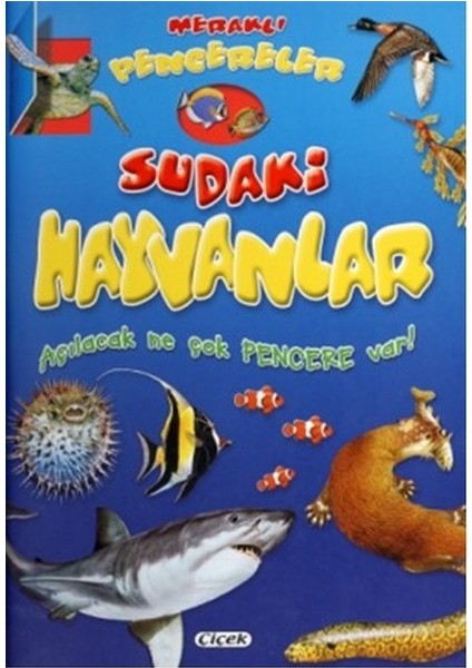 Meraklı Pencereler Sudaki Hayvanlar