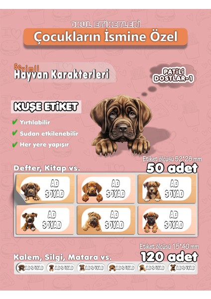 Patili Dostlar -1 Isme Özel Hobi - Okul Etiket Seti 170 Adet