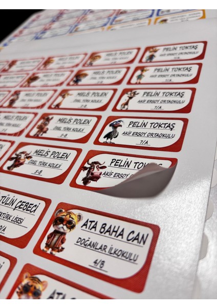 Patili Dostlar -1 Isme Özel Hobi - Okul Etiket Seti 170 Adet indirimleri