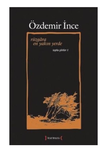 Rüzgara En Yakın Yerde / Toplu Şiirler I
