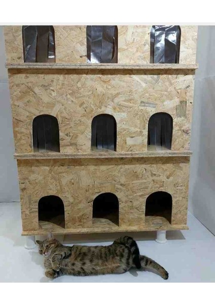 Ahşap Kedi Ev modelleri