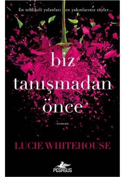 Biz Tanışmadan Önce