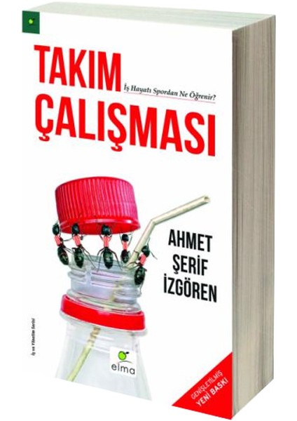 Takım Çalışması