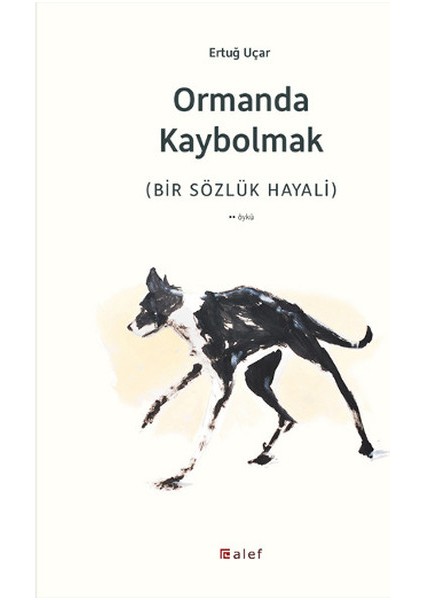 Ormanda Kaybolmak