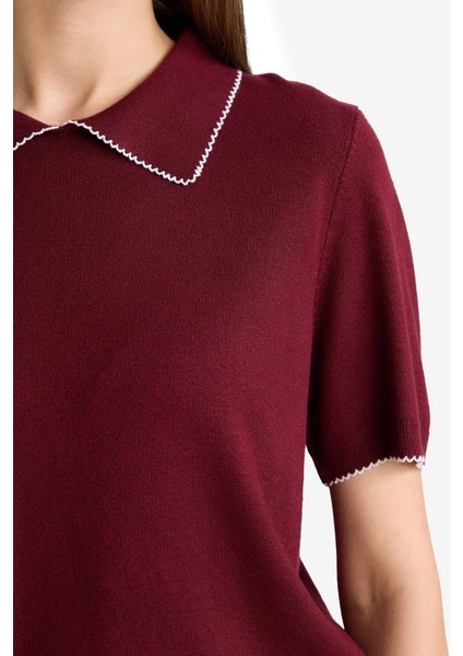 Regular Fit Polo Yaka Kısa Kollu Triko Kazak G0490AX25AU indirimleri