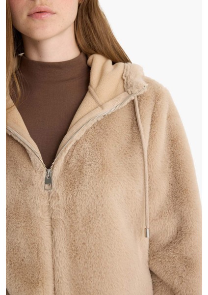 Regular Fit Polar Astarlı Kapüşonlu Fermuarlı Suni Kürk F2148AX25WN indirimleri