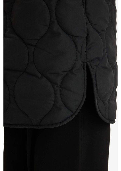 Regular Fit Kapüşonlu Çıtçıtlı Cepli Kapitoneli Parka F4143AX25WN indirimleri
