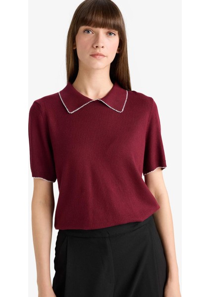 Regular Fit Polo Yaka Kısa Kollu Triko Kazak G0490AX25AU