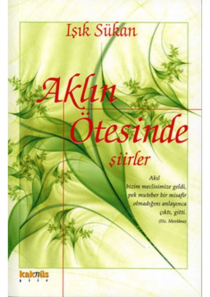 Aklın Ötesinde Şiirler