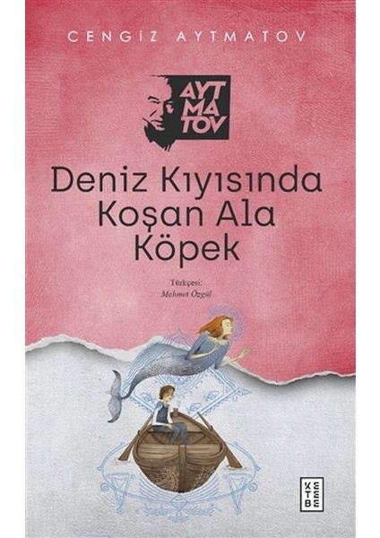 Deniz Kıyısında Koşan Ala Köpek