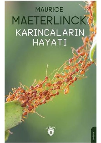 Karıncaların Hayatı