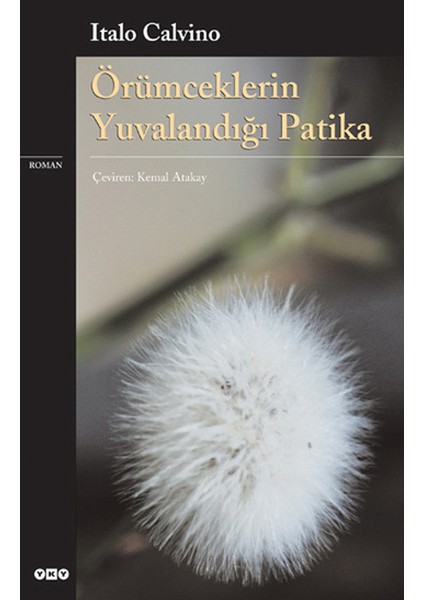 Örümceklerin Yuvalandığı Patika