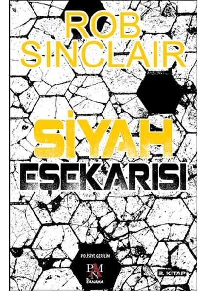 Siyah Eşekarısı 2. Kitap