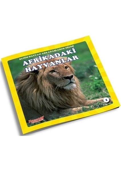 Afrikadaki Hayvanlar - Benim Hayvan Arkadaşlarım Dizisi 1