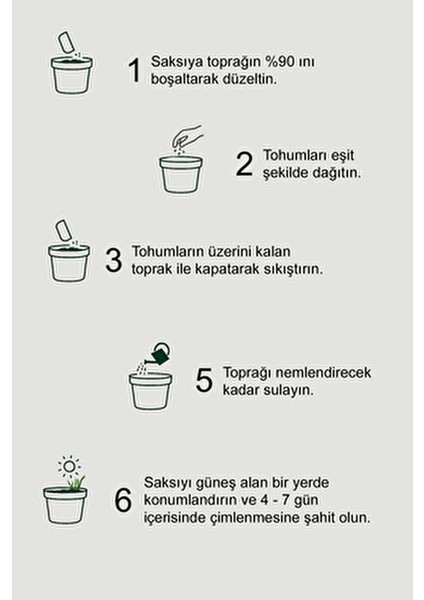 Kedi Çimi Doğal 10 cm Uzunlukta Tüy Yumağı Önleyici Evcil Hayvanlar İçin modelleri