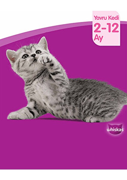 Yavru Kedi Maması Tavuk Aromalı 1,9 kg Premium Kalite Türkiye Menşeli modelleri