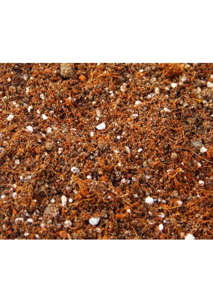 BİTKİ TOPRAĞI - TORFLU ÖZEL KARIŞIM 5 Litre fiyatları