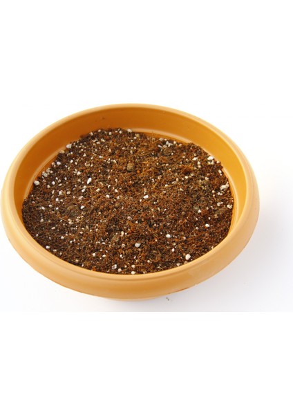 BİTKİ TOPRAĞI - TORFLU ÖZEL KARIŞIM 5 Litre modelleri