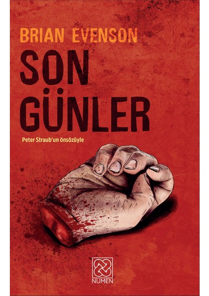 Son Günler