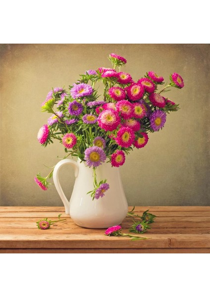 Katmerli Pompon Aster Tohumu Karışık Renkli Callistephus Chinensis Powder Puff China Aster fiyatları