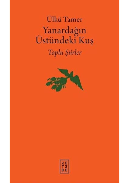 Yanardağın Üstündeki Kuş