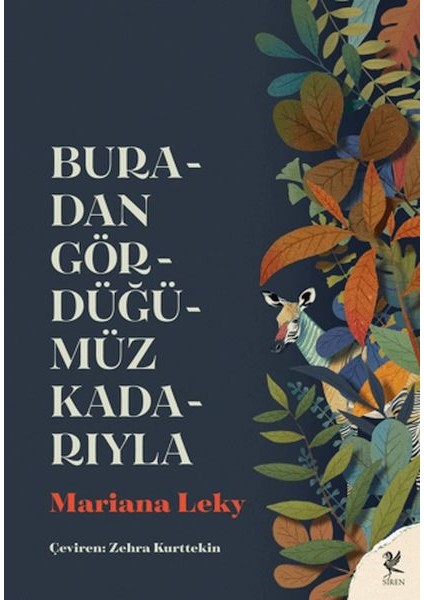 Buradan Gördüğümüz Kadarıyla