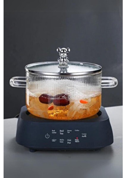 1700CC Lilamor Ayıcık Figürlü Tencere Isıya Dayanıklı|borosilikat | Termisil Ocak Üstü Cam Tencere indirimleri