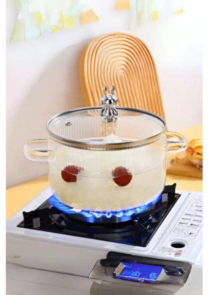 1700CC Lilamor Ayıcık Figürlü Tencere Isıya Dayanıklı|borosilikat | Termisil Ocak Üstü Cam Tencere