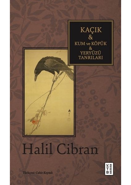 Kaçık & Kum ve Köpük & Yeryüzü Tanrıları