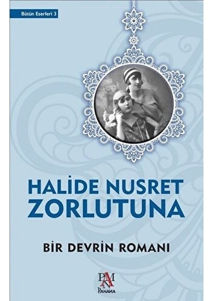 Bir Devrin Romanı