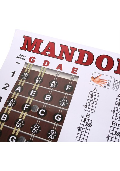 Mandolin Poster Grafiği Akor Müzikal Eğitim Enstrüman Kılavuzu Akorlar Kabar Parmak Grafiği (Yurt Dışından) modelleri