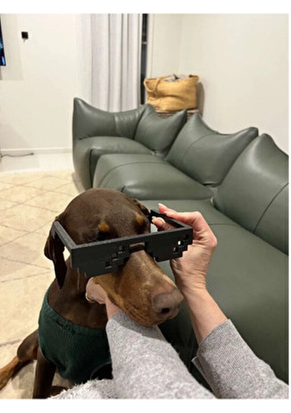 Minecraft Piksel Güneş Gözlüğü fırsatları