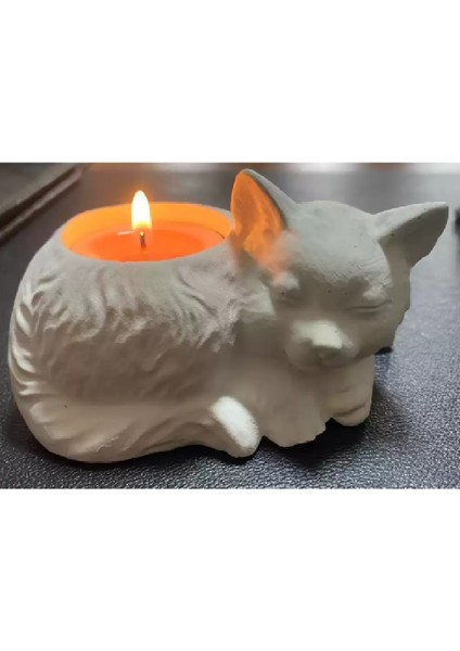 Dekoratif Mini Kedi Sukulent Saksısı fırsatları