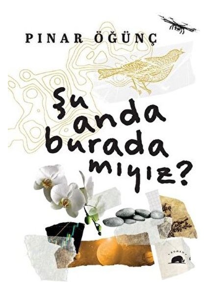 Şu Anda Burada Mıyız?