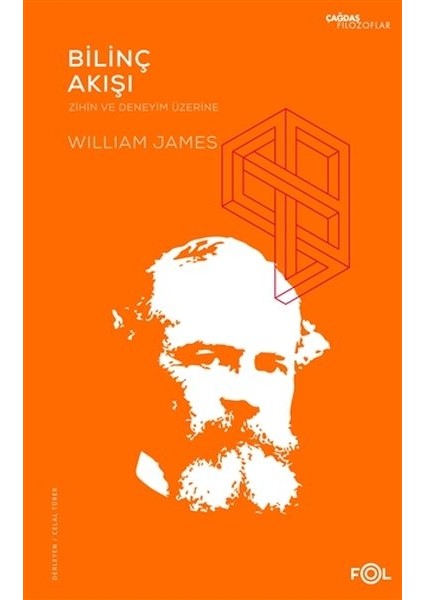 Bilinç Akışı Zihin ve Deneyim Üzerine