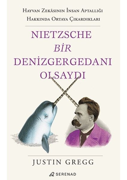 Nietzsche Bir Denizgergedanı Olsaydı