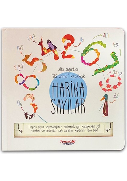 Harika Sayılar (Kapakçıklı)