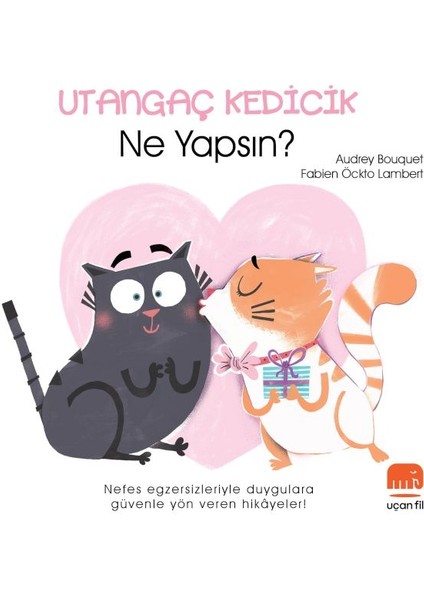 Utangaç Kedicik Ne Yapsın?
