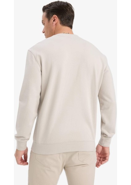 %100 Pamuk Regular Fit Bisiklet Yaka Sweatshirt E8339AX25AU