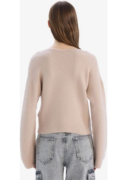 Regular Fit V Yaka Basic Düz Dikişsiz Triko Kazak E9170AX25SP