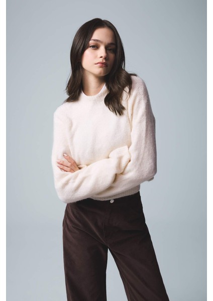 Regular Fit Bisiklet Yaka Dikişsiz Basic Düz Triko Kazak