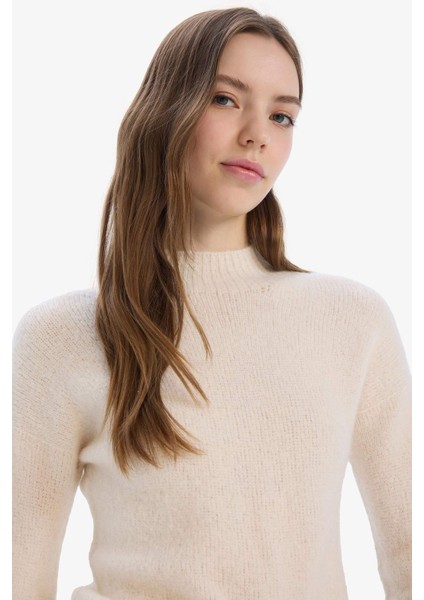 Regular Fit Bisiklet Yaka Dikişsiz Basic Düz Triko Kazak