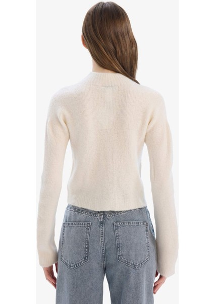 Regular Fit Bisiklet Yaka Dikişsiz Basic Düz Triko Kazak