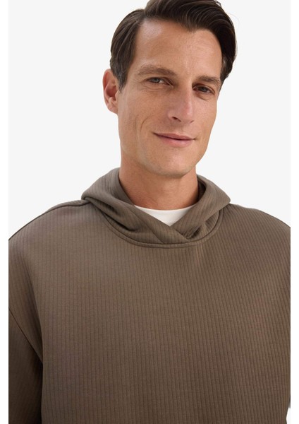 Boxy Fit Kapüşonlu Kanguru Cepli Jakarlı Sweatshirt E9308AX25AU