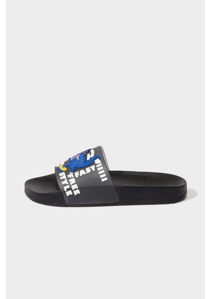 Erkek Çocuk Desenli Yüksek Taban Terlik F0035A825SM