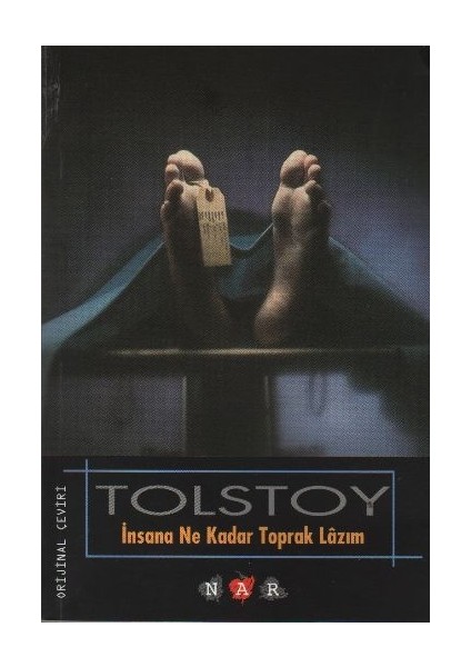 Insana Ne Kadar Toprak Lazım