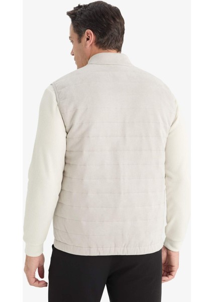 Slim Fit Dar Kesim Dik Yaka Astarlı Fermuarlı Cepli Mevsimlik Baharlık Süet Yelek F0246AX25AU
