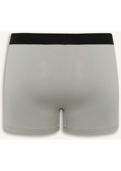 Regular Fit 3'lü Boxer C9549AX25SM