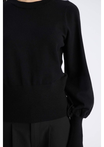 Regular Fit Bisiklet Yaka Basic Düz Triko Kazak F0542AX24CW