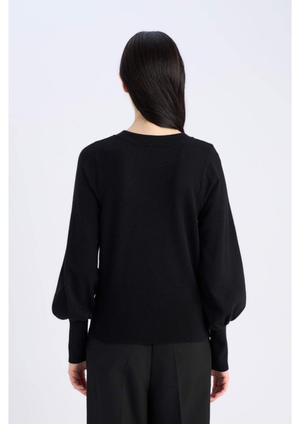 Regular Fit Bisiklet Yaka Basic Düz Triko Kazak F0542AX24CW